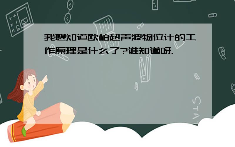 我想知道欧柏超声波物位计的工作原理是什么了?谁知道呀.