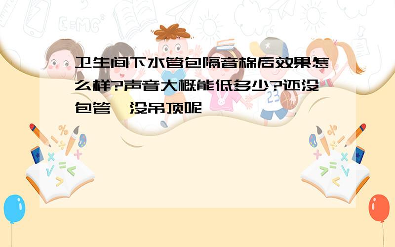 卫生间下水管包隔音棉后效果怎么样?声音大概能低多少?还没包管,没吊顶呢