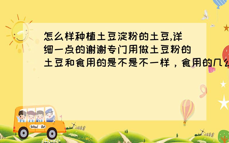 怎么样种植土豆淀粉的土豆,详细一点的谢谢专门用做土豆粉的土豆和食用的是不是不一样，食用的几公斤土豆能生产出一公斤淀粉，专用的几公斤土豆能生产出一公斤马铃署淀粉，怎么样挑