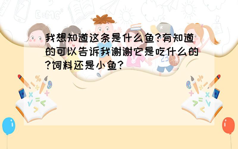 我想知道这条是什么鱼?有知道的可以告诉我谢谢它是吃什么的?饲料还是小鱼?