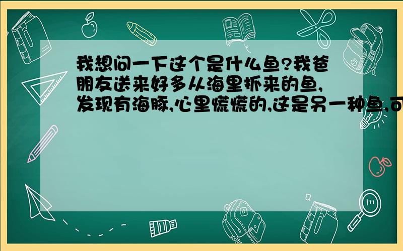 我想问一下这个是什么鱼?我爸朋友送来好多从海里抓来的鱼,发现有海豚,心里慌慌的,这是另一种鱼,可不可以食用的.