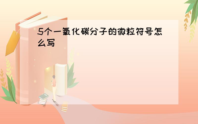 5个一氧化碳分子的微粒符号怎么写