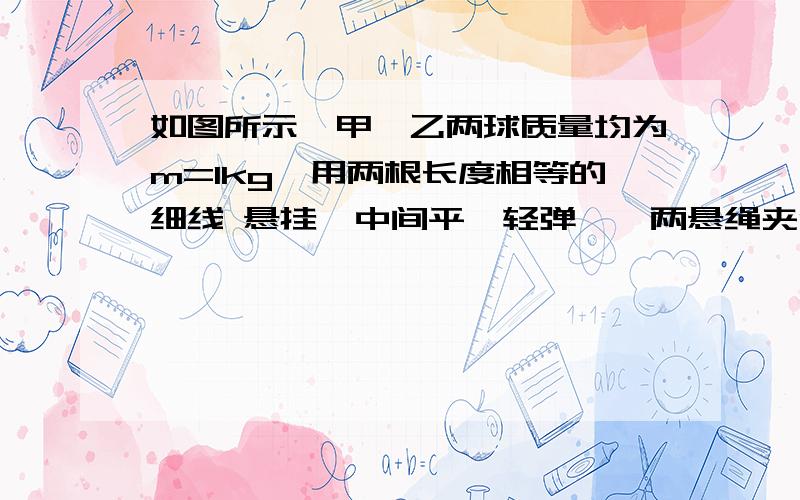 如图所示,甲、乙两球质量均为m=1kg,用两根长度相等的细线 悬挂,中间平一轻弹簧,两悬绳夹角为90°则小球受到弹簧的弹力悬绳对小球的拉力