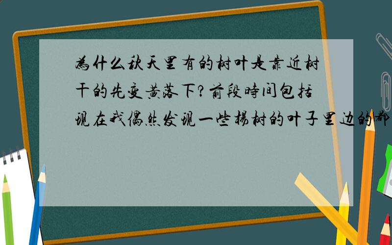 为什么秋天里有的树叶是靠近树干的先变黄落下?前段时间包括现在我偶然发现一些杨树的叶子里边的都变黄了,而且有的树上里边的都落了,而周围树枝靠外边的树叶还是绿色的,不知是什么原