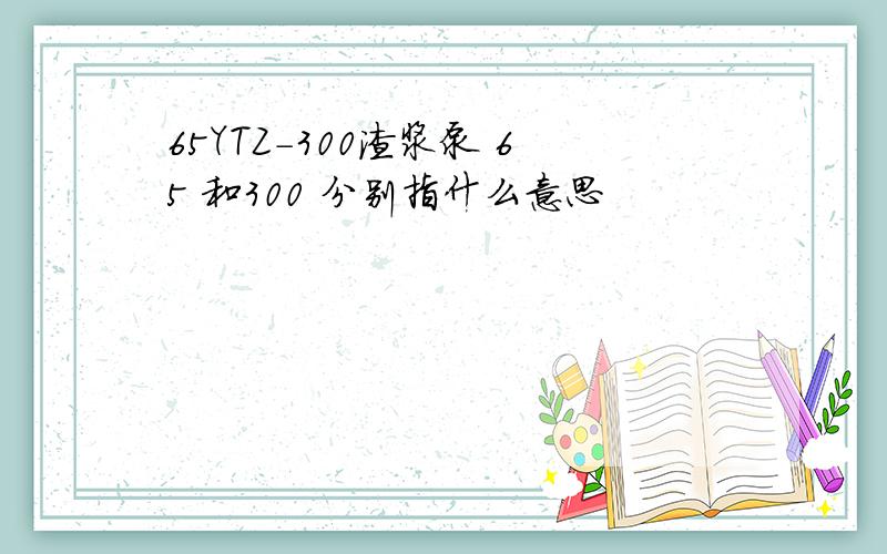 65YTZ-300渣浆泵 65 和300 分别指什么意思