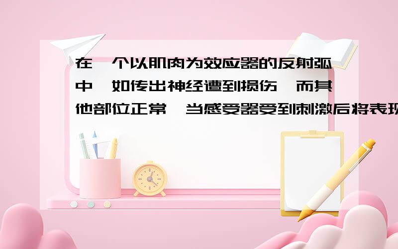 在一个以肌肉为效应器的反射弧中,如传出神经遭到损伤,而其他部位正常,当感受器受到刺激后将表现为由感觉但肌肉无收缩反应,为什么不是失去感觉但能运动