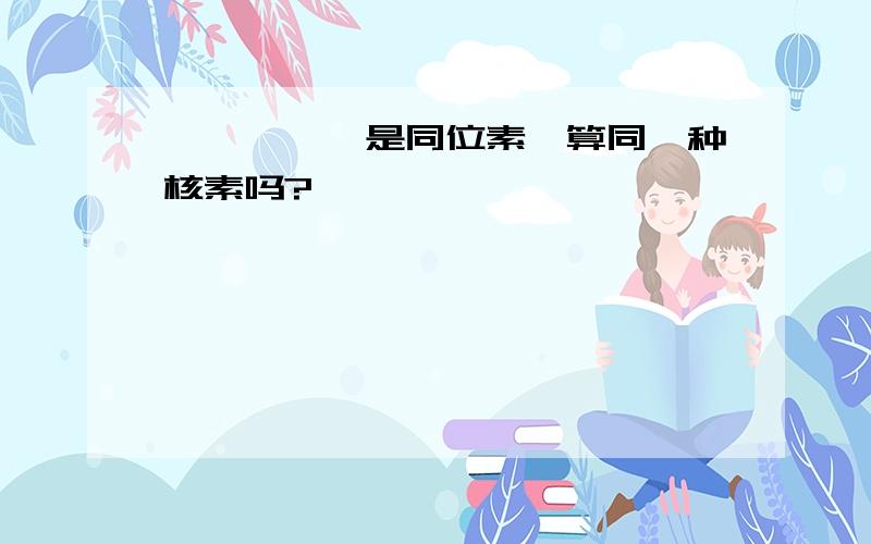 氕、氘、氚是同位素,算同一种核素吗?