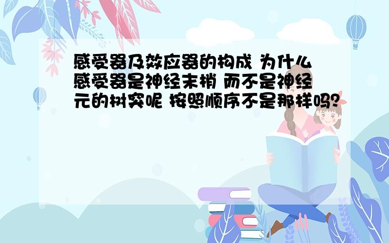 感受器及效应器的构成 为什么感受器是神经末梢 而不是神经元的树突呢 按照顺序不是那样吗？