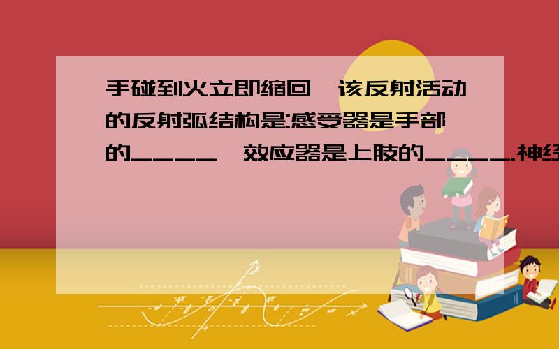 手碰到火立即缩回,该反射活动的反射弧结构是:感受器是手部的____,效应器是上肢的____.神经中枢在____内.