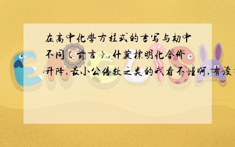 在高中化学方程式的书写与初中不同（前言）.什莫标明化合价升降,最小公倍数之类的我看不懂啊,有没有高人教教我.分不会少给你的