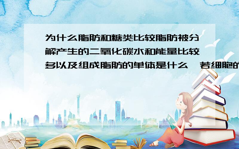 为什么脂肪和糖类比较脂肪被分解产生的二氧化碳水和能量比较多以及组成脂肪的单体是什么,若细胞的细胞核内的核酸只含脱氧核糖,那它的细胞质是否也只含脱氧核糖