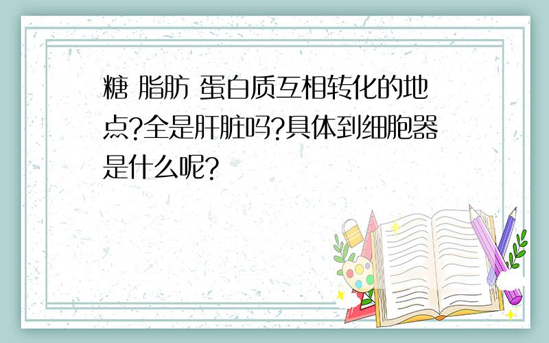 糖 脂肪 蛋白质互相转化的地点?全是肝脏吗?具体到细胞器是什么呢?