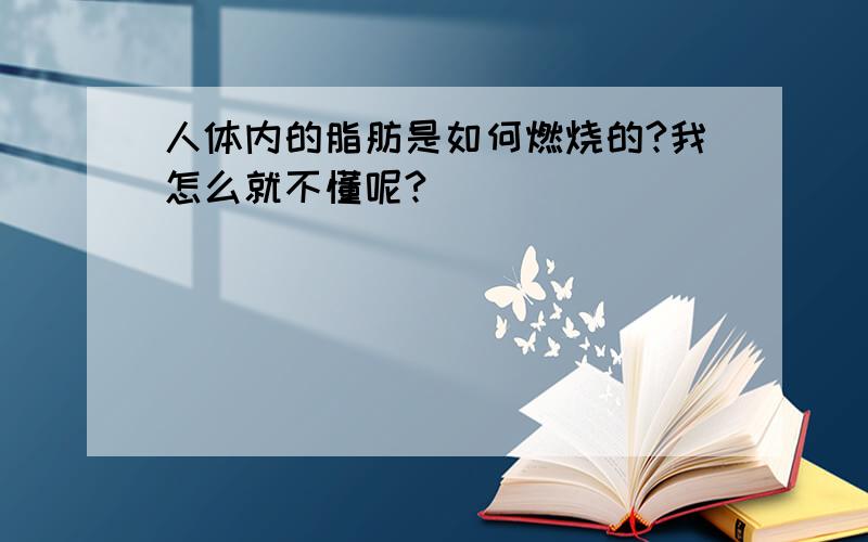 人体内的脂肪是如何燃烧的?我怎么就不懂呢?