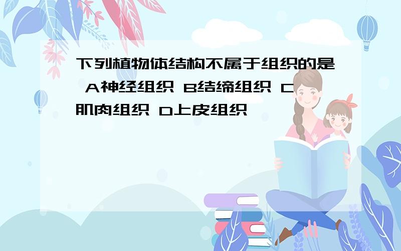 下列植物体结构不属于组织的是 A神经组织 B结缔组织 C肌肉组织 D上皮组织