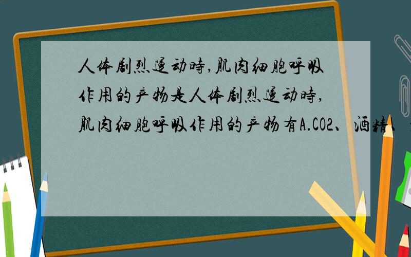 人体剧烈运动时,肌肉细胞呼吸作用的产物是人体剧烈运动时,肌肉细胞呼吸作用的产物有A．CO2、酒精、水、ATP B．CO2、乳酸、ATPC．CO2、H2O、乳酸 D．H2O、CO2、乳酸、ATP