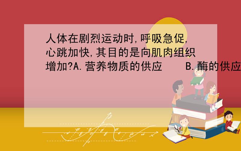 人体在剧烈运动时,呼吸急促,心跳加快,其目的是向肌肉组织增加?A.营养物质的供应    B.酶的供应     C.氧的供应   D.二氧化碳的供应为什么,我需要详细一点的分析,谢谢你们!