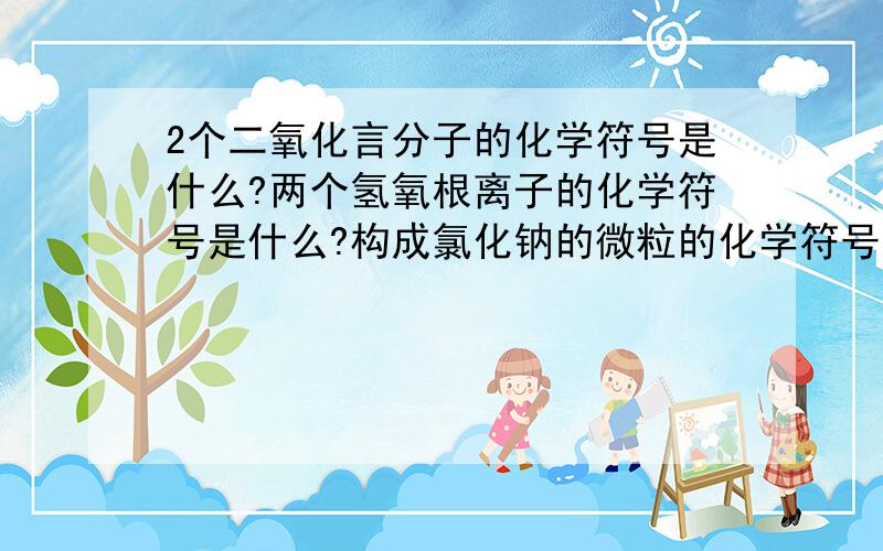 2个二氧化言分子的化学符号是什么?两个氢氧根离子的化学符号是什么?构成氯化钠的微粒的化学符号是什么?