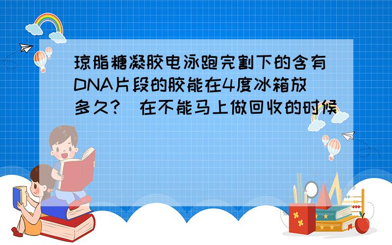 琼脂糖凝胶电泳跑完割下的含有DNA片段的胶能在4度冰箱放多久?（在不能马上做回收的时候）