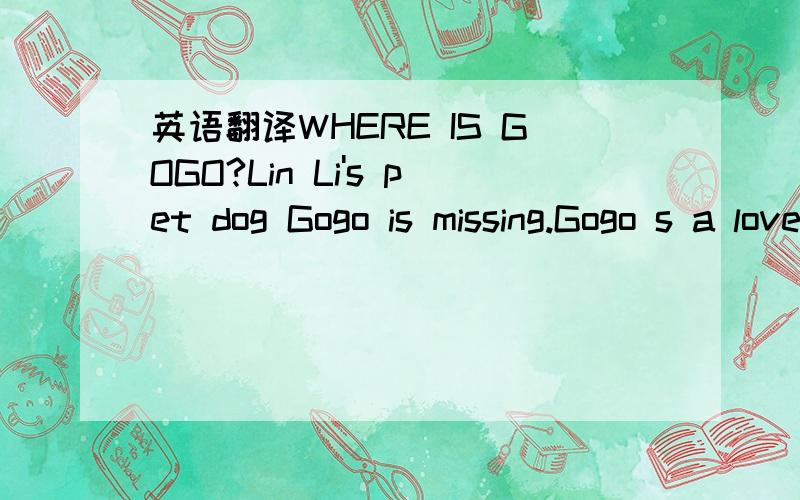 英语翻译WHERE IS GOGO?Lin Li's pet dog Gogo is missing.Gogo s a lovely dog.He is white all over,with big black eyes,short ears and short legs,Every likes him.Lin Li is looking dor Gogo in the neighborhood.Her best friend Lily is staying with her