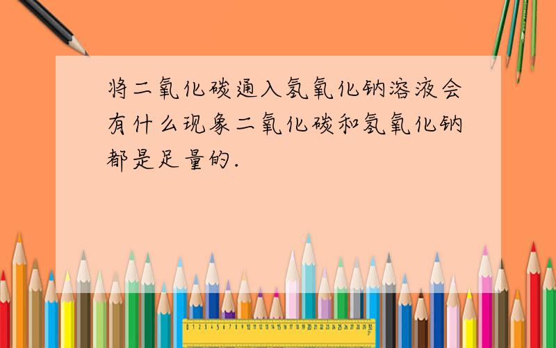 将二氧化碳通入氢氧化钠溶液会有什么现象二氧化碳和氢氧化钠都是足量的.