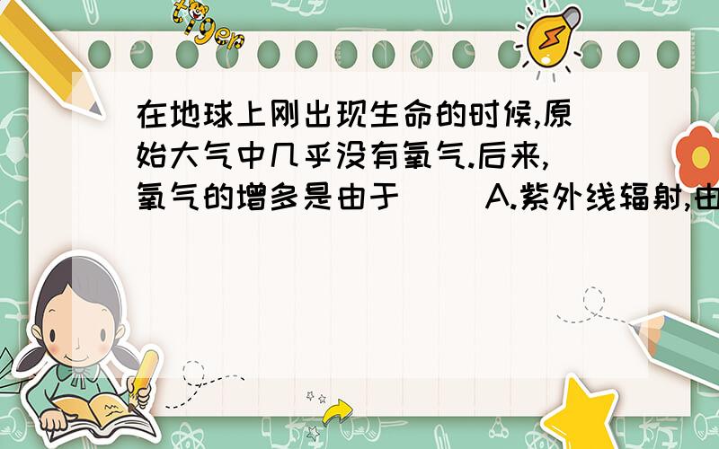 在地球上刚出现生命的时候,原始大气中几乎没有氧气.后来,氧气的增多是由于（ ）A.紫外线辐射,由水分解而产生B.地球上火山爆发产生的C.能进行光合作用的藻类大量繁衍产生的D.电闪雷鸣的