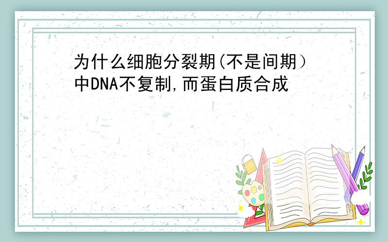 为什么细胞分裂期(不是间期）中DNA不复制,而蛋白质合成