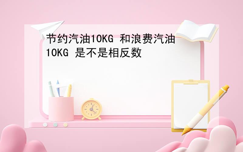 节约汽油10KG 和浪费汽油10KG 是不是相反数