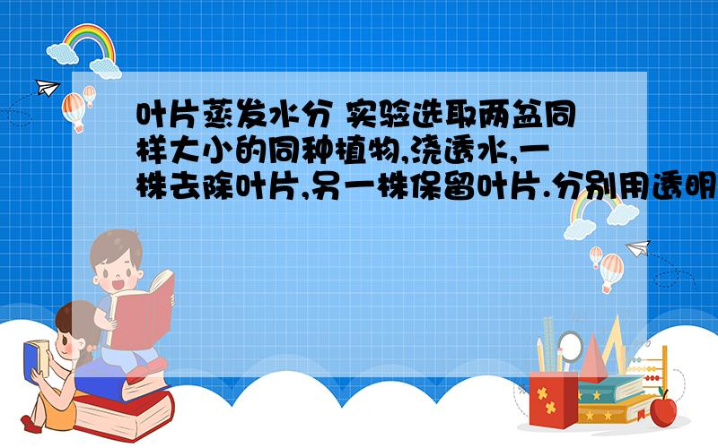 叶片蒸发水分 实验选取两盆同样大小的同种植物,浇透水,一株去除叶片,另一株保留叶片.分别用透明袋罩住,扎紧袋口.放在太阳底下照晒一段时间.将观察到的现象及时记录下来.1、两株分别所