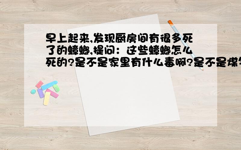 早上起来,发现厨房间有很多死了的蟑螂,提问：这些蟑螂怎么死的?是不是家里有什么毒啊?是不是煤气泄漏