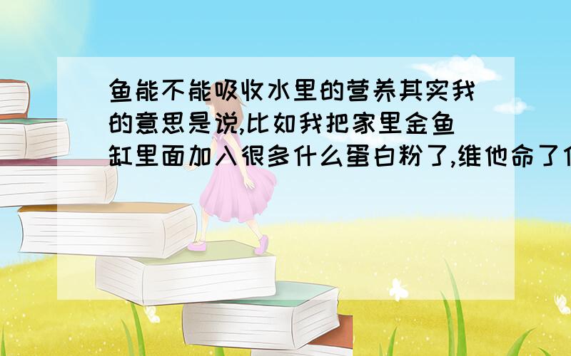 鱼能不能吸收水里的营养其实我的意思是说,比如我把家里金鱼缸里面加入很多什么蛋白粉了,维他命了什么的,不喂鱼了,