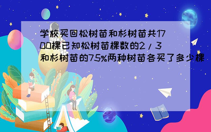 学校买回松树苗和杉树苗共1700棵已知松树苗棵数的2/3和杉树苗的75%两种树苗各买了多少棵