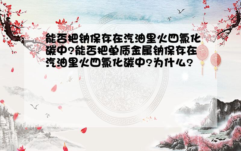 能否把钠保存在汽油里火四氯化碳中?能否把单质金属钠保存在汽油里火四氯化碳中?为什么?