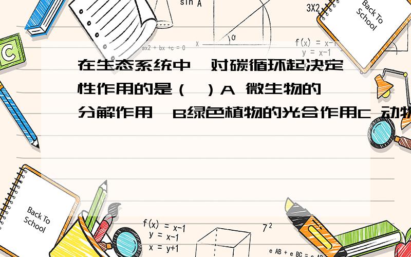 在生态系统中,对碳循环起决定性作用的是（ ）A 微生物的分解作用  B绿色植物的光合作用C 动物的呼吸作用 D 煤和石油的燃烧需要具体原因