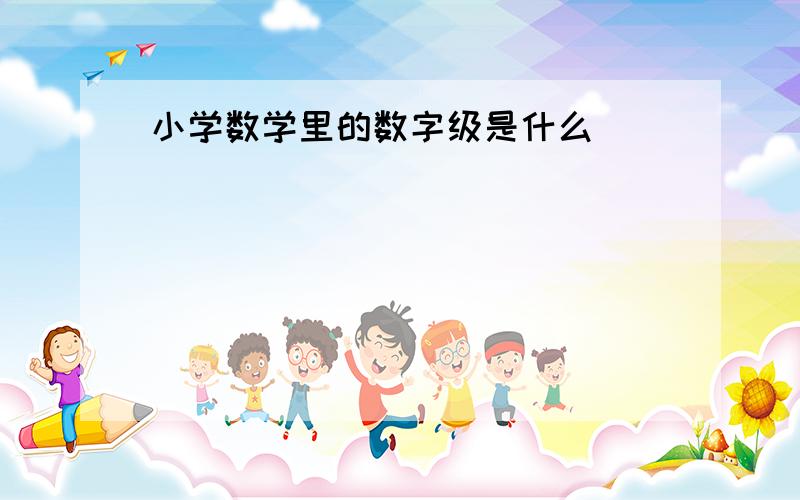 小学数学里的数字级是什么