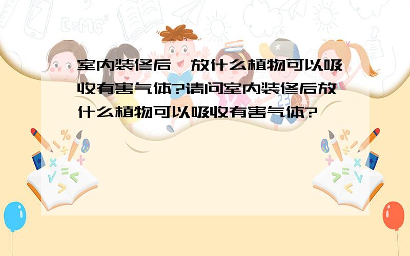 室内装修后,放什么植物可以吸收有害气体?请问室内装修后放什么植物可以吸收有害气体?