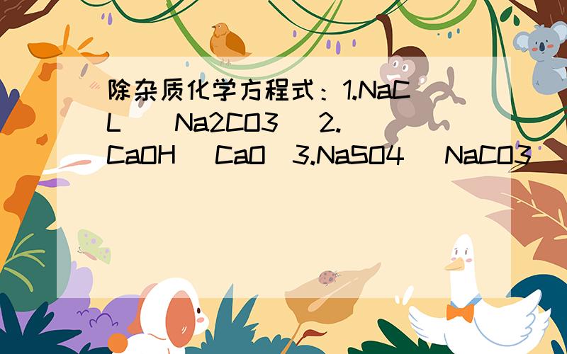 除杂质化学方程式：1.NaCL ( Na2CO3) 2.CaOH (CaO)3.NaSO4 (NaCO3) 4.Fe(SO4)3 (SO4 )