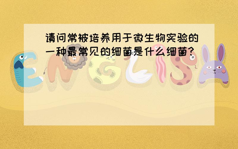 请问常被培养用于微生物实验的一种最常见的细菌是什么细菌?