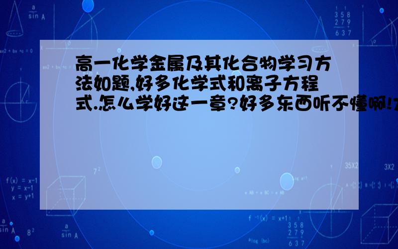 高一化学金属及其化合物学习方法如题,好多化学式和离子方程式.怎么学好这一章?好多东西听不懂啊!大大的,那些反应本质都不懂