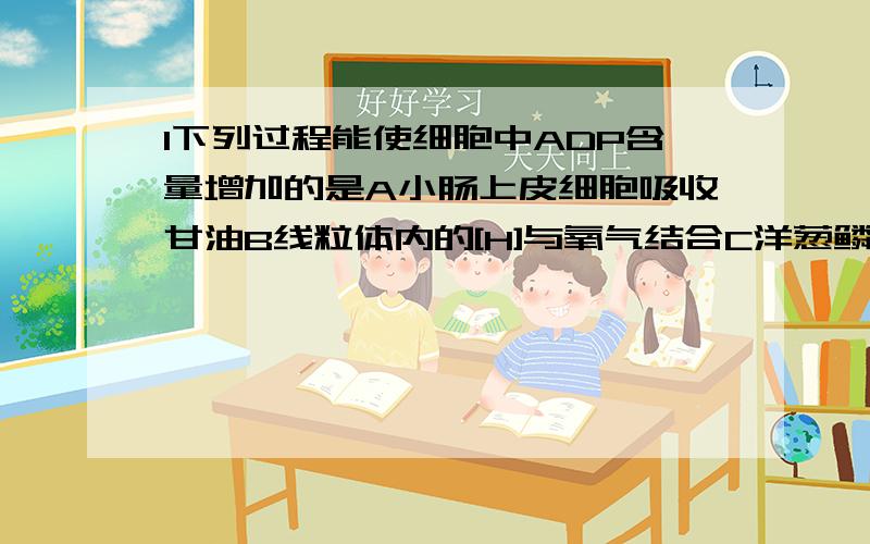 1下列过程能使细胞中ADP含量增加的是A小肠上皮细胞吸收甘油B线粒体内的[H]与氧气结合C洋葱鳞片叶表皮细胞的质壁分离复原D细胞分裂时纺锤丝的收缩2植物细胞和动物细胞中储存能量的多糖