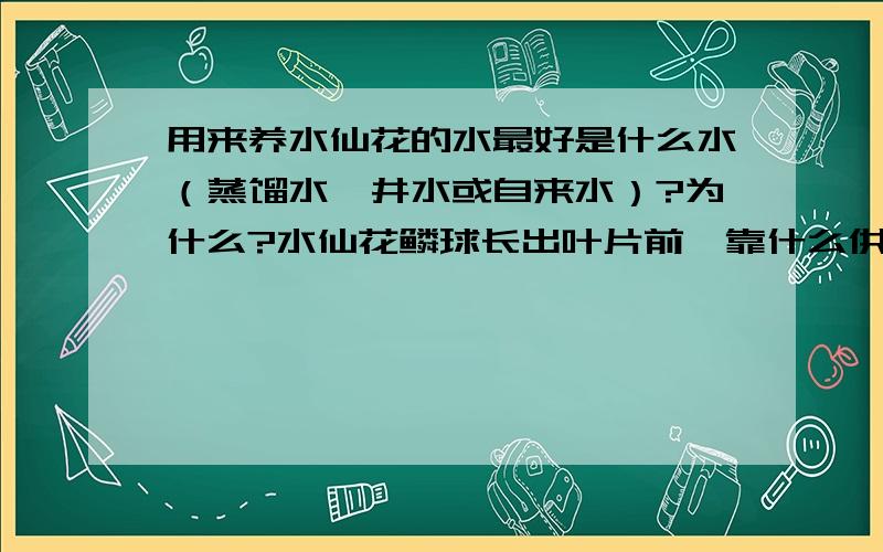 用来养水仙花的水最好是什么水（蒸馏水、井水或自来水）?为什么?水仙花鳞球长出叶片前,靠什么供给有机养分?长出叶后呢?