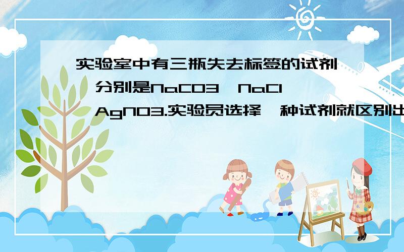 实验室中有三瓶失去标签的试剂,分别是NaCO3、NaCl、AgNO3.实验员选择一种试剂就区别出来了A 盐酸 B 氢氧化钠 C 氯化钡溶液 D 硝酸简要说明理由