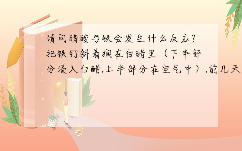 请问醋酸与铁会发生什么反应?把铁钉斜着搁在白醋里（下半部分浸入白醋,上半部分在空气中）,前几天会发现瓶子上有无色液滴,铁钉周围有很少很小的气泡,溶液依然无色,从第六天开始,溶液