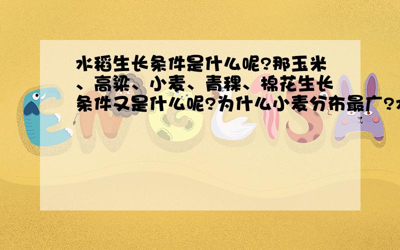 水稻生长条件是什么呢?那玉米、高粱、小麦、青稞、棉花生长条件又是什么呢?为什么小麦分布最广?水稻为什么能在北方生长呢?谢谢了