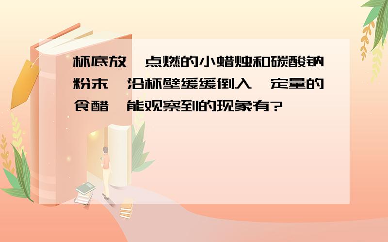 杯底放一点燃的小蜡烛和碳酸钠粉末,沿杯壁缓缓倒入一定量的食醋,能观察到的现象有?