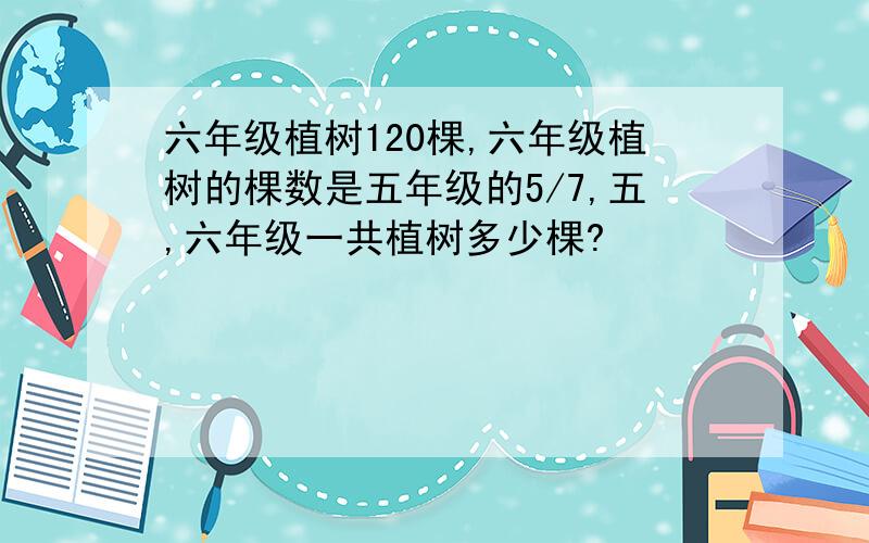 六年级植树120棵,六年级植树的棵数是五年级的5/7,五,六年级一共植树多少棵?