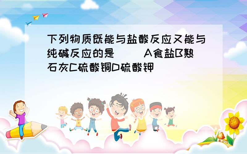 下列物质既能与盐酸反应又能与纯碱反应的是( )A食盐B熟石灰C硫酸铜D硫酸钾