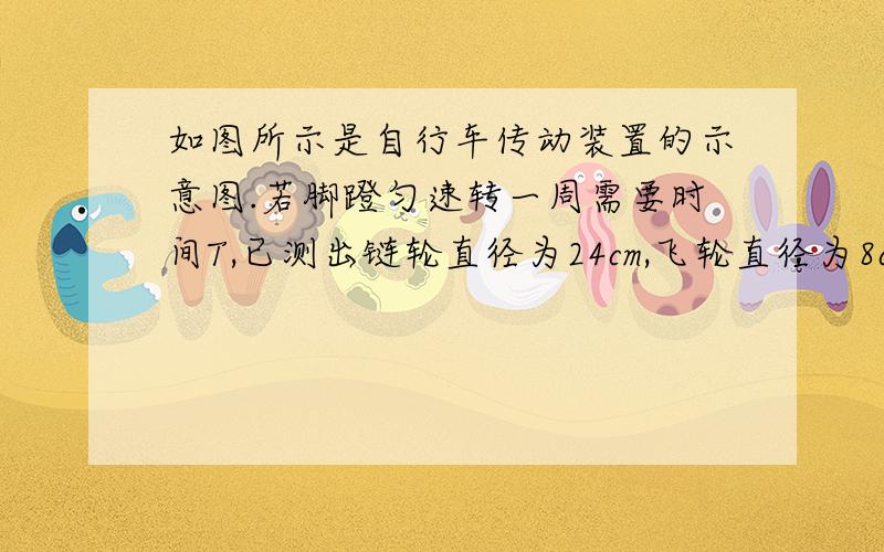 如图所示是自行车传动装置的示意图.若脚蹬匀速转一周需要时间T,已测出链轮直径为24cm,飞轮直径为8cm,要知道在此情况下自行车前进的速度,还需要测量的物理量是?（把表示它的符号规定为A