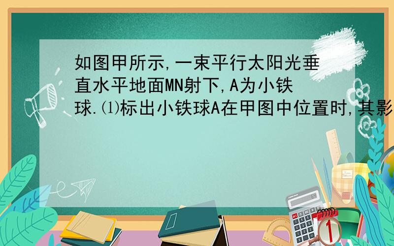 如图甲所示,一束平行太阳光垂直水平地面MN射下,A为小铁球.⑴标出小铁球A在甲图中位置时,其影子A′在地面MN上的位置（用点表示即可）；⑵若小球在竖直平面内沿图中圆形虚线轨迹运动,请