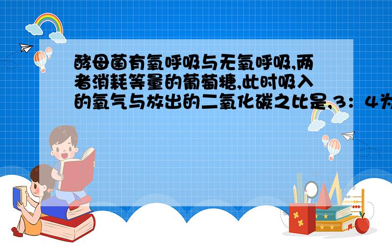 酵母菌有氧呼吸与无氧呼吸,两者消耗等量的葡萄糖,此时吸入的氧气与放出的二氧化碳之比是,3：4为什么?