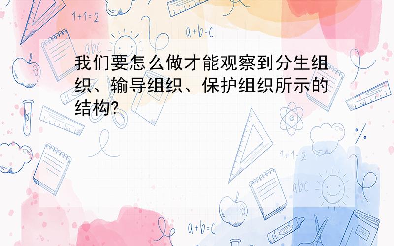 我们要怎么做才能观察到分生组织、输导组织、保护组织所示的结构?